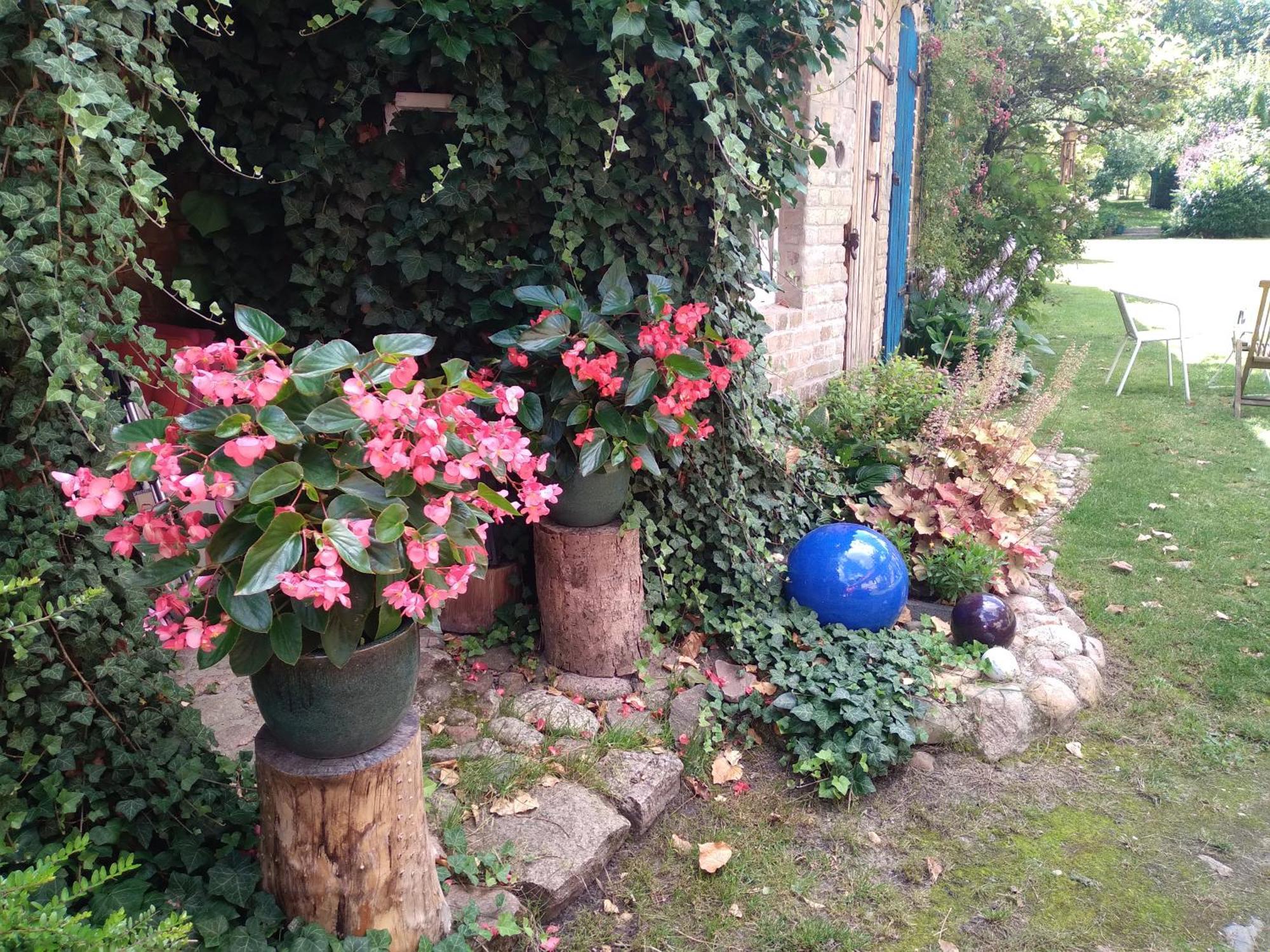 Dom Sztuk - House Of Arts Apartment Miedzyrzecz Exterior photo